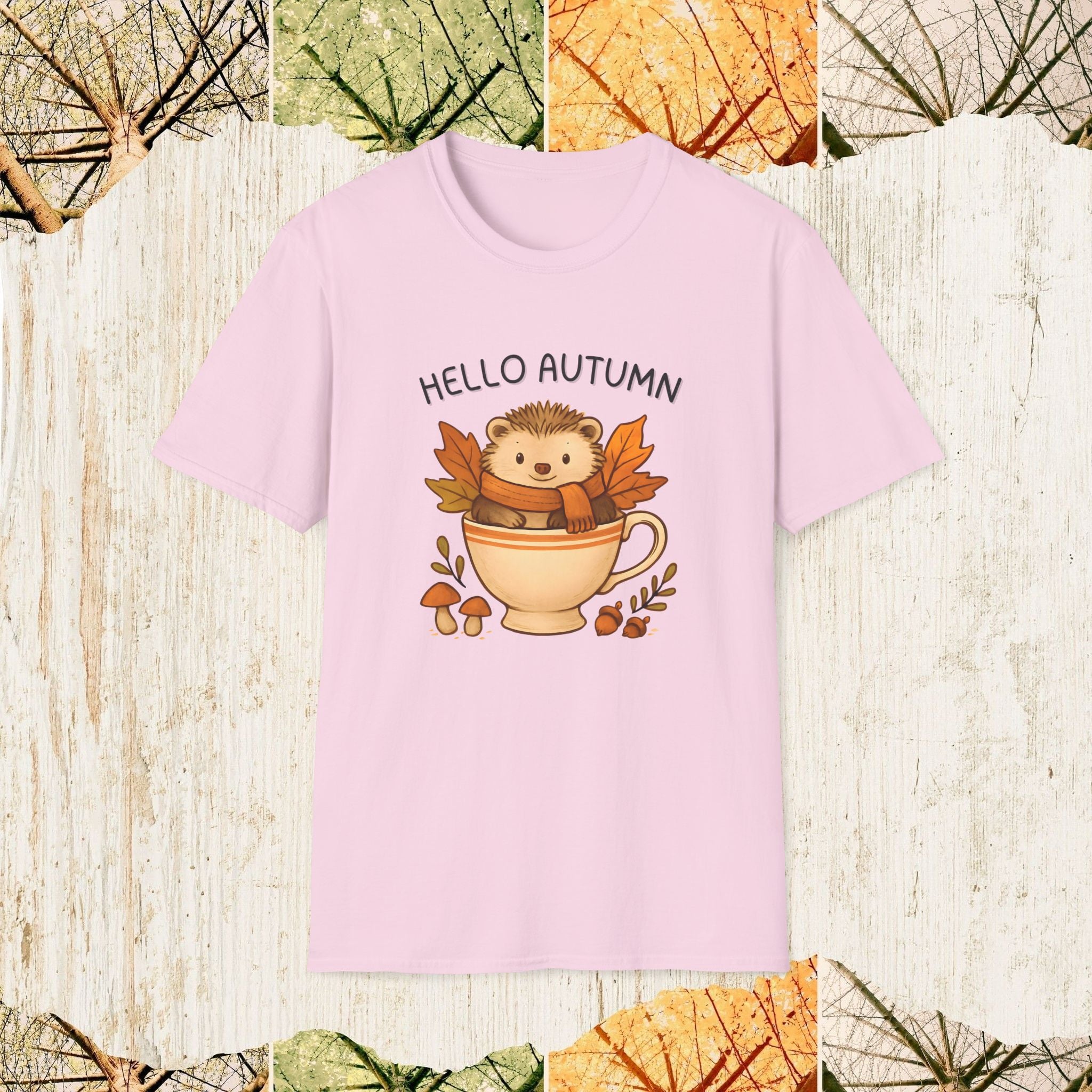 Hello Autumn Cozy Fall Shirt, Pumpkin Season Tee, Autumn Aesthetic Apparel